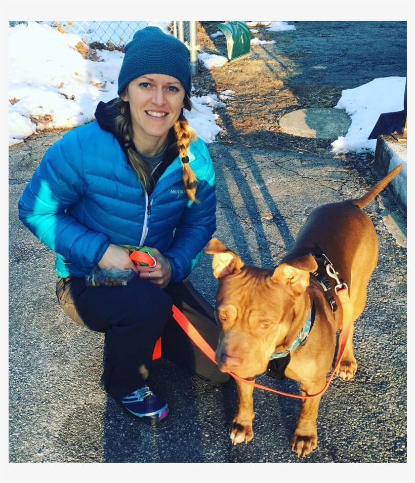 Liz Allen - Dog Licks, transparent png #8590632