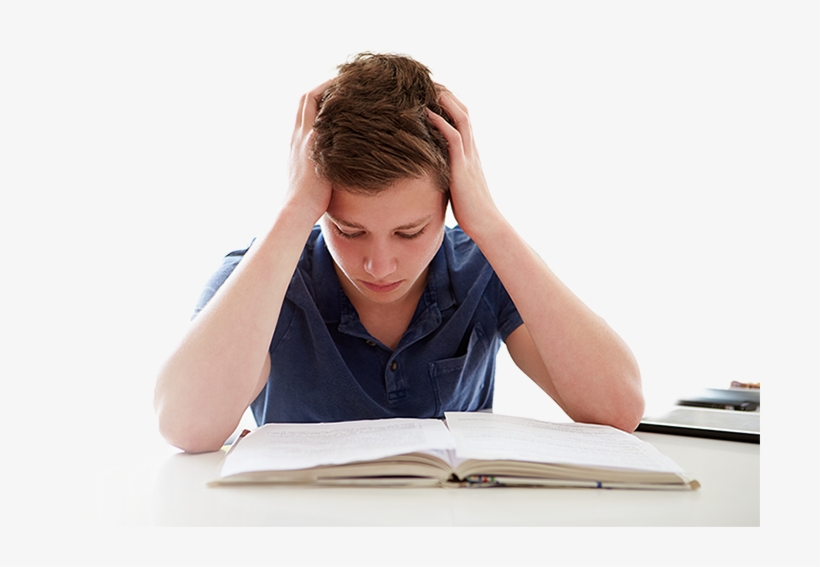 Executive Function Is A Challenge - Imagenes De Un Chico Estudiando, transparent png #8590677