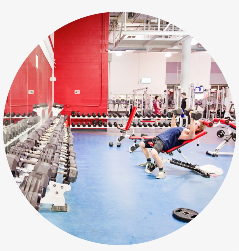 Student Lifting Weights In Recreation Centre - Gym, transparent png #8590807