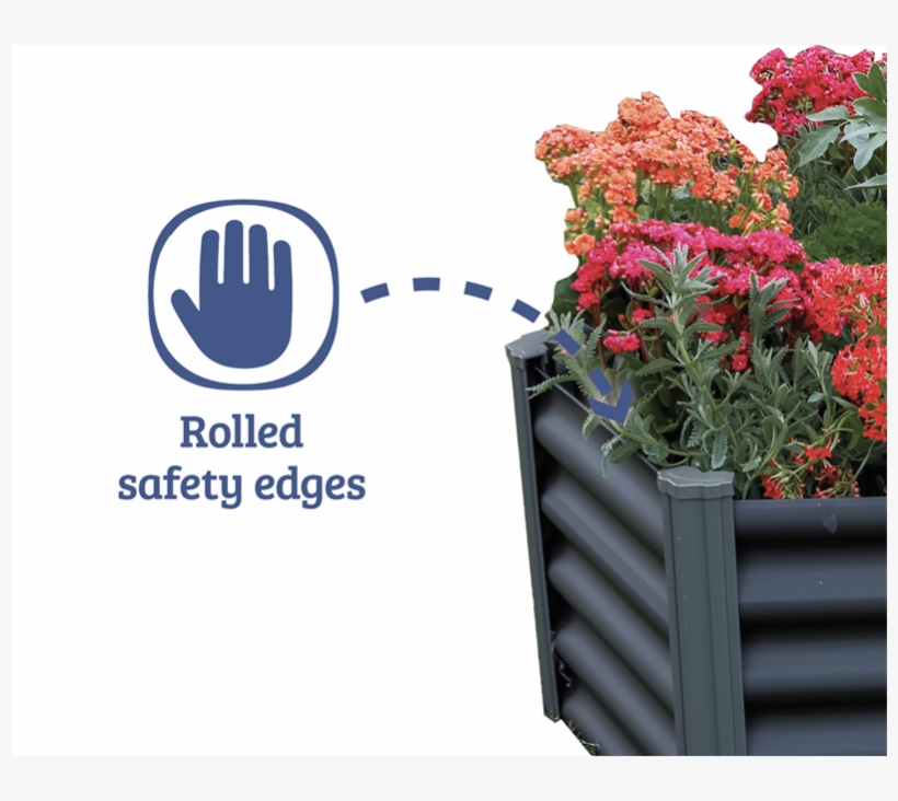 Hydrangea Serrata, transparent png #8591028