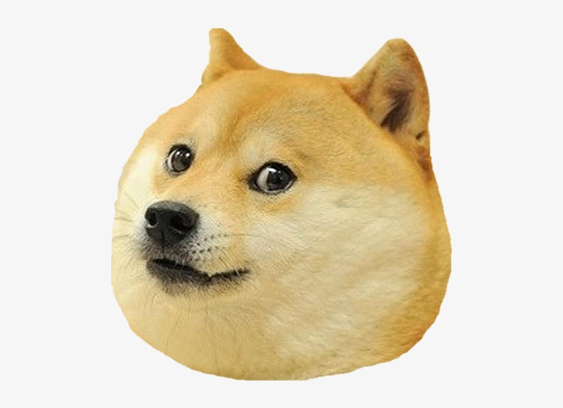 Dog Head Png - Shiba Dog, transparent png #8591394