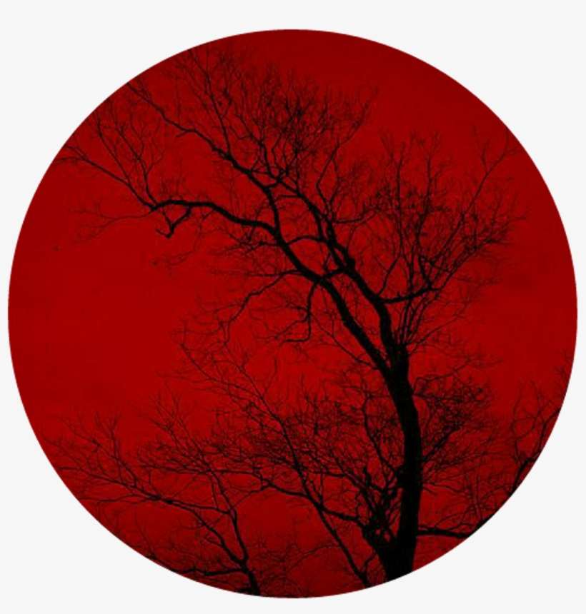 Red Sticker - Circle, transparent png #8591910