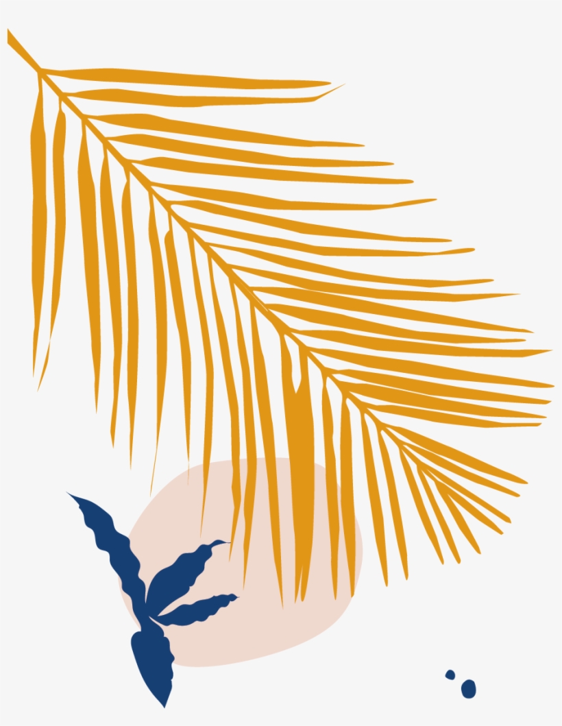 Bloomscape Majesty Palm - Illustration, transparent png #8592916