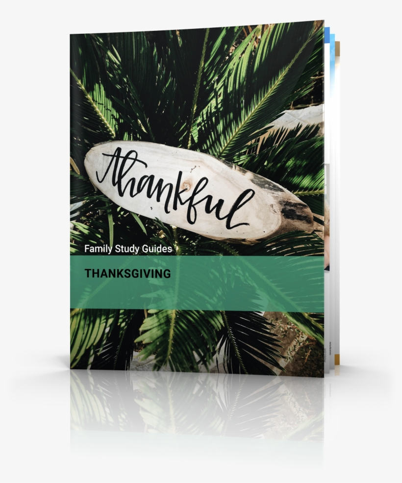 Fondo De Pantalla Originales, transparent png #8593691