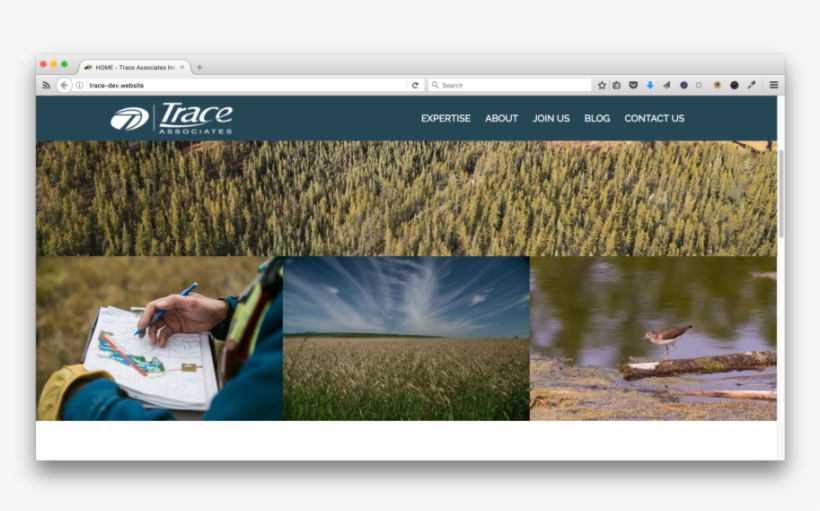 Aryly78a8b-900x900 - Grass, transparent png #8593829