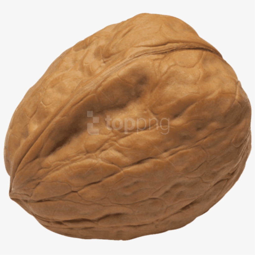 Walnut Png Image - Transparent Walnut Png, transparent png #8594446