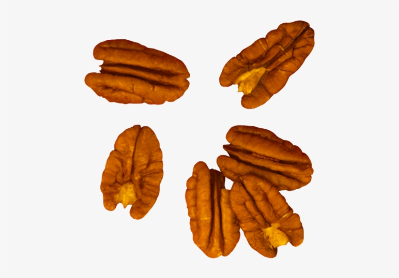 Walnut - Bun, transparent png #8594704
