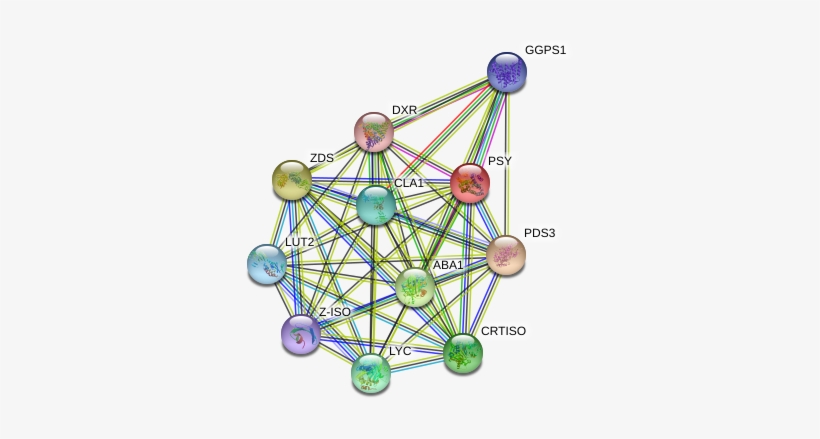 Ferris Wheel, transparent png #8594708