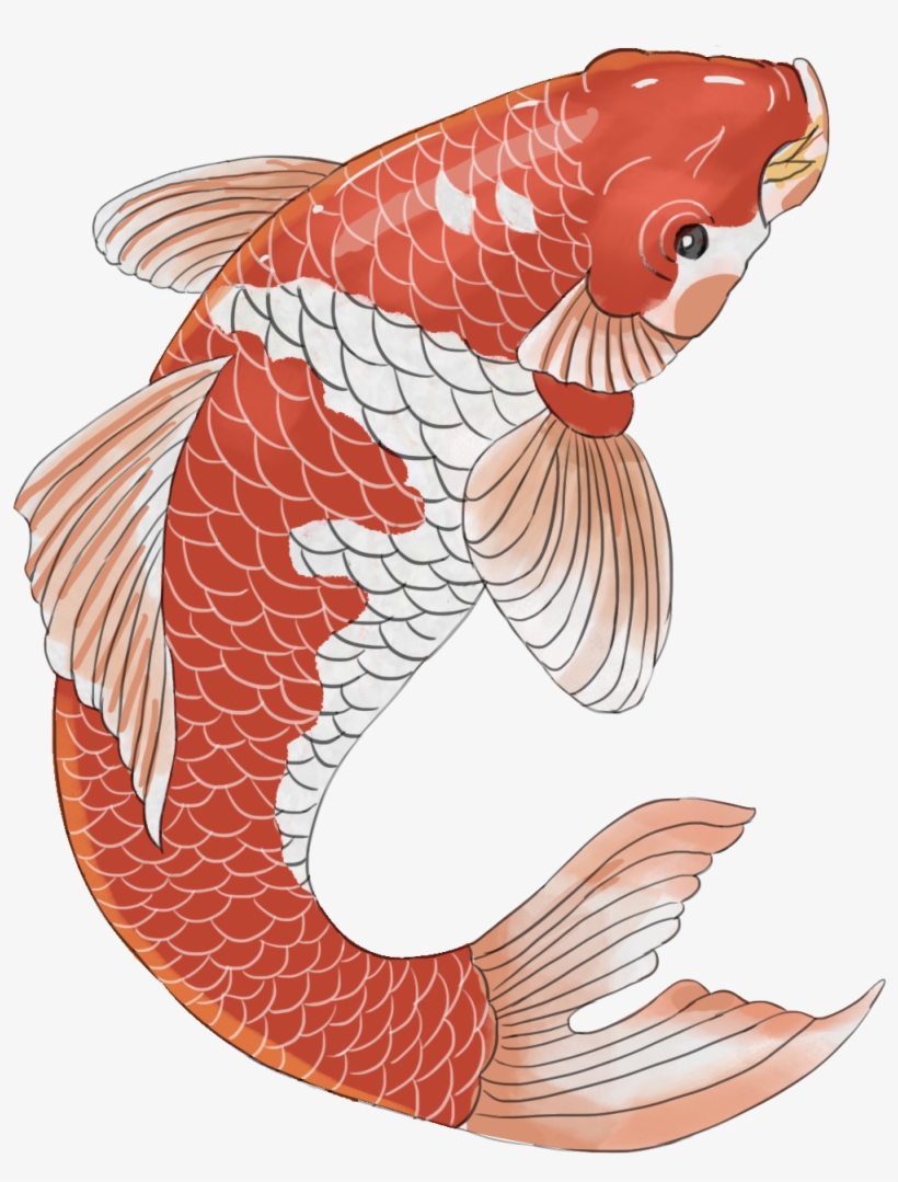 Chinese Style Hand Painted Festive Koi Png And Psd - Catfish, transparent png #8594783