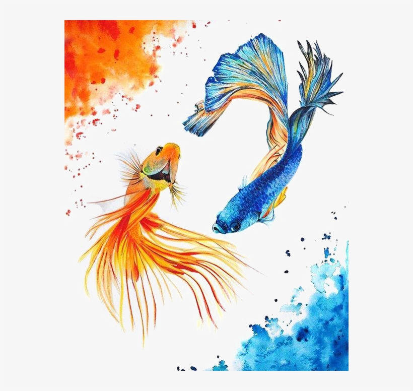Koi Carassius Fish Yin Watercolor Yang Auratus Clipart - Watercolor Yin Yang Fish, transparent png #8595059