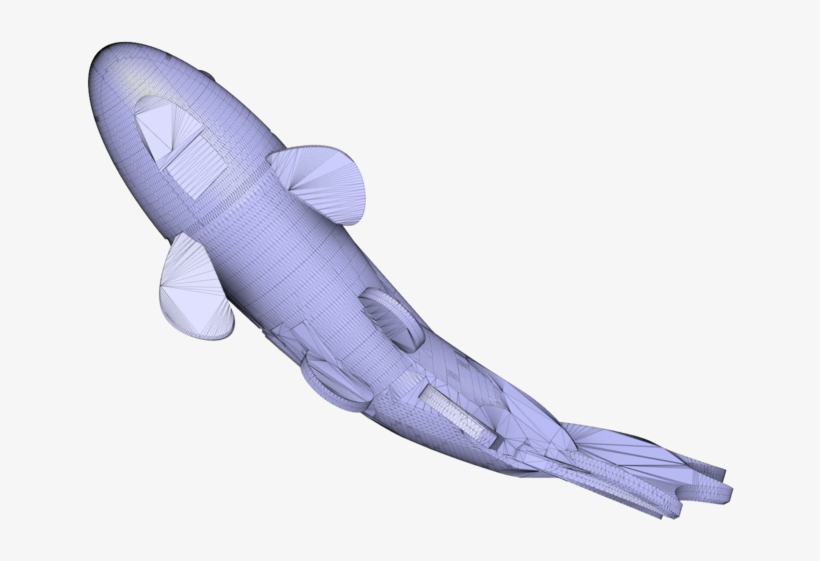 Koi Fish V2 - Tiger Shark, transparent png #8595181