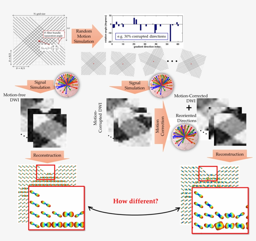 What Is The Impact Of Different Interpolation Schemes, - Diagram, transparent png #8595431