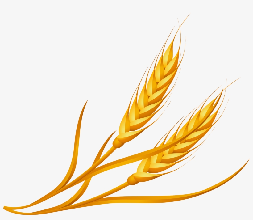 Download - Illustration, transparent png #8595709