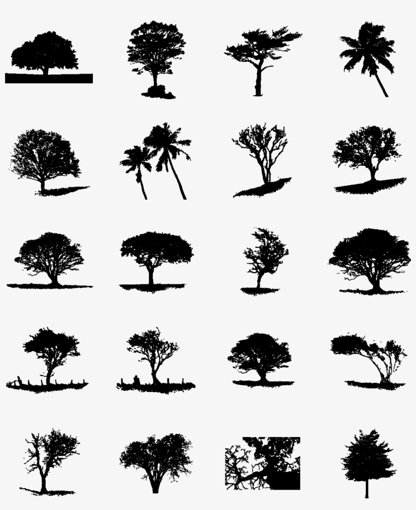 Trees Silhouette - Free Tree Silhouette Ai, transparent png #8596256
