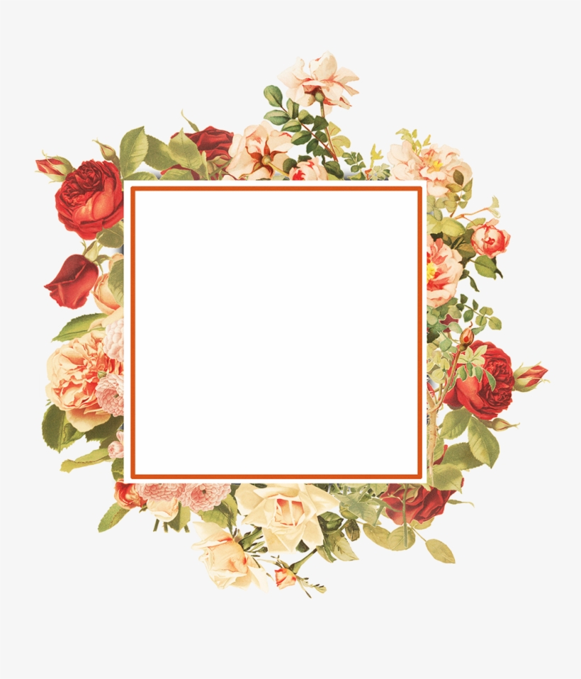 Download - Garden Roses, transparent png #8596658