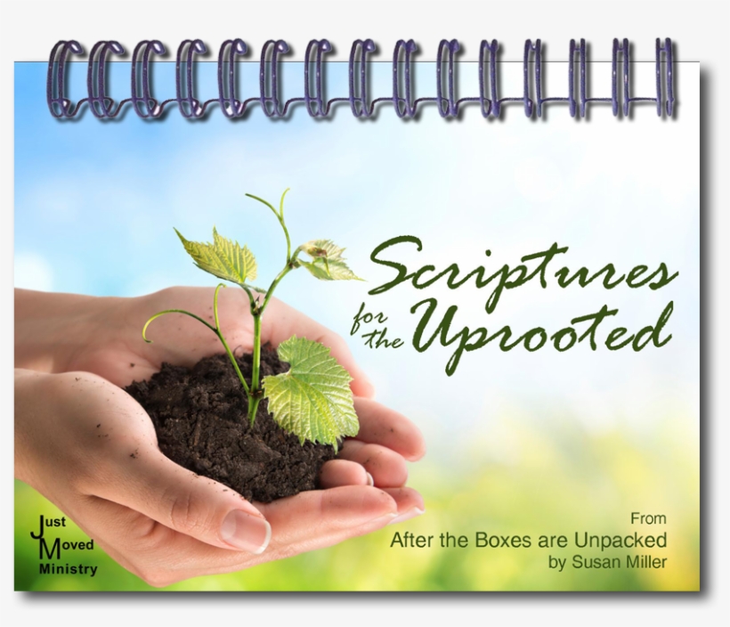 Plantation, transparent png #8597667