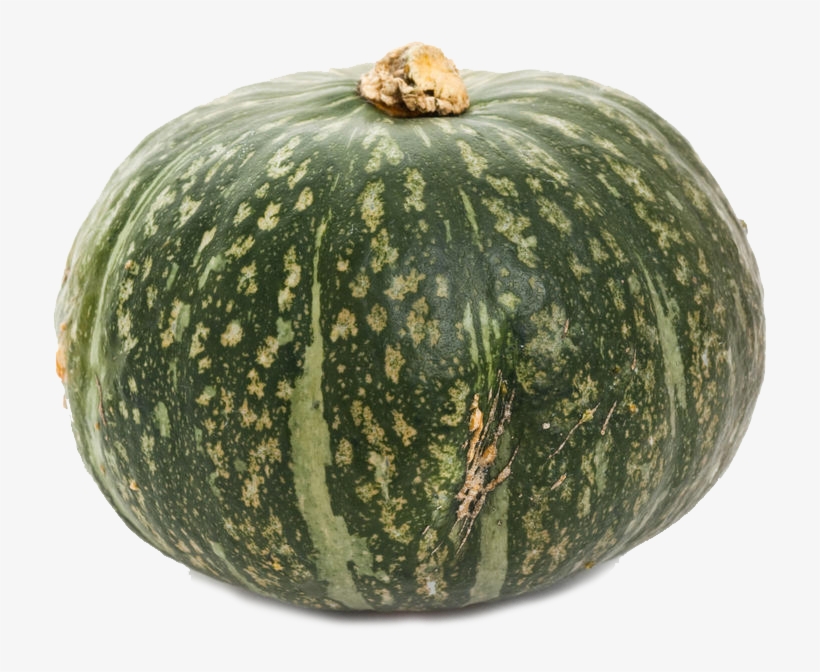 T Bones Fresh - Courge Verte, transparent png #8599082