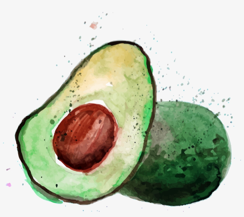 Avocado, transparent png #860161