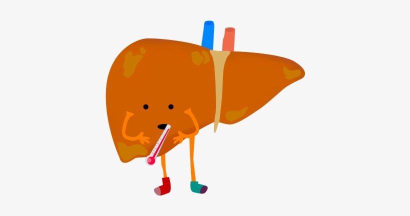 Graphic Acute Disease Free On Dumielauxepices Net - Sick Liver Cartoon Png, transparent png #860284