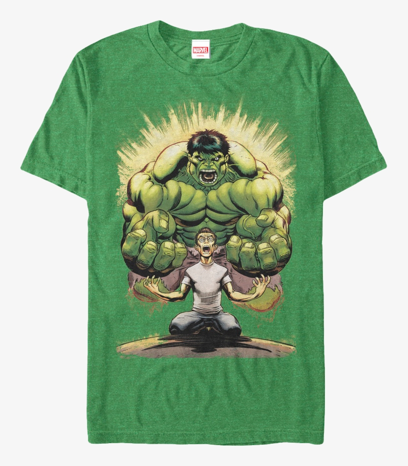 Monster Within Incredible Hulk T-shirt - Metal Print: Mcguinness' Hulk No.13 Cover: Banner,, transparent png #860998