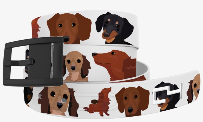 Dachshund, transparent png #861126