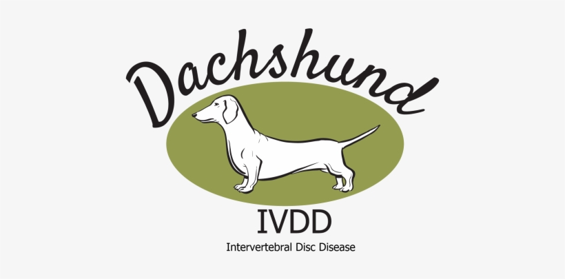 Www - Dachshund-ivdd - Uk - Portable Network Graphics, transparent png #861171
