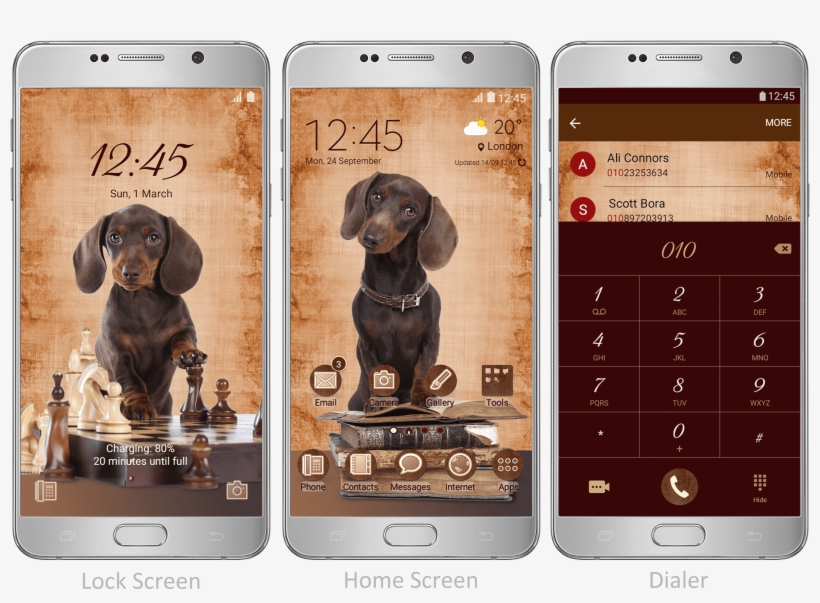 Dachshund Puppies - Iphone, transparent png #861279