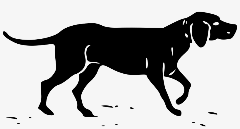 Basset Hound Dachshund Plott Hound Afghan Hound Southern - Hound Clipart, transparent png #861327