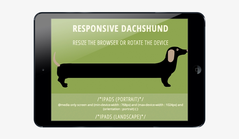 Longdog, transparent png #861571