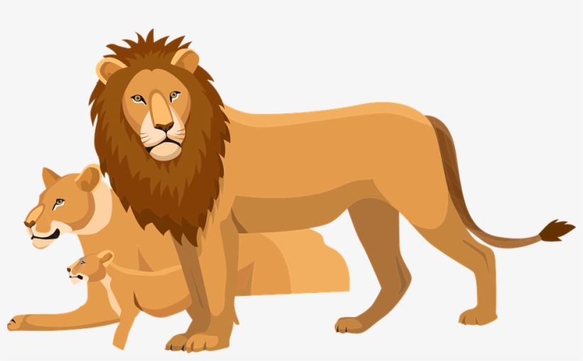 Lion Images, Lion Cub, Cat Art, Cubs, Free Pictures, - Vector Sư Tử, transparent png #861631