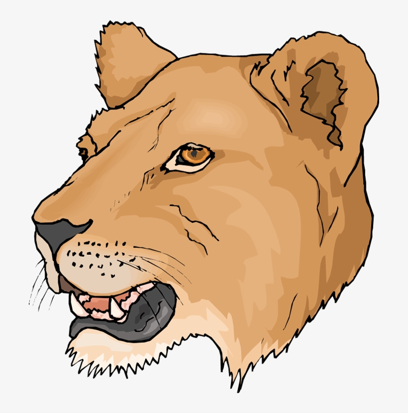 Pictures V - 2 - 0 Png - - Female Lion Head Clipart, transparent png #861913
