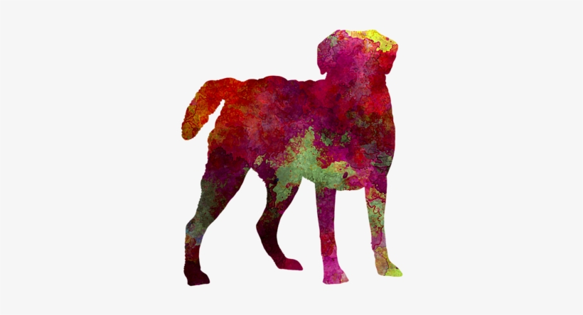 Drawing Laboratory Chesapeake Bay Retriever - Chesapeake Bay Retreiver January Notebook Chesapeake, transparent png #861980