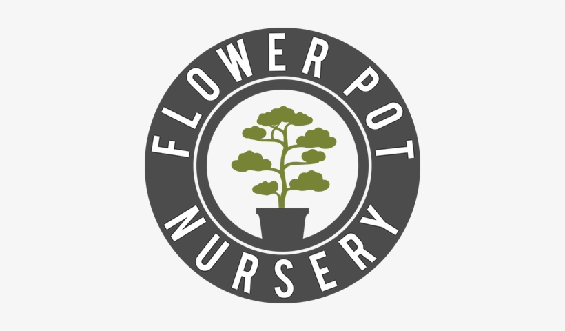 Acer - Circle, transparent png #862792