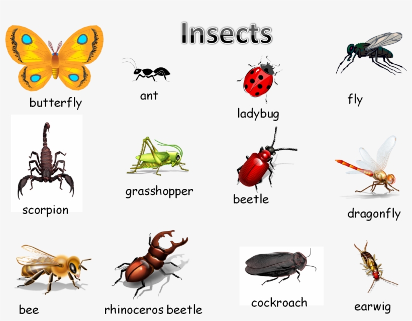 Making Lists For Writer's Workshop - Socrates' Lair [book], transparent png #862814