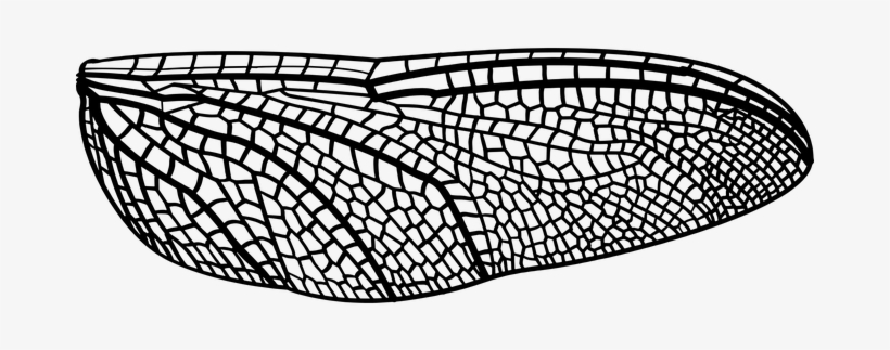 Dragonfly Wing Bug Insect Nature Summer Wi - Libellenflügel Tattoo, transparent png #863004