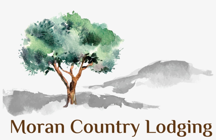Moran Lodge Logo - Olive Tree Painting Tattoo - Free Transparent PNG  Download - PNGkey