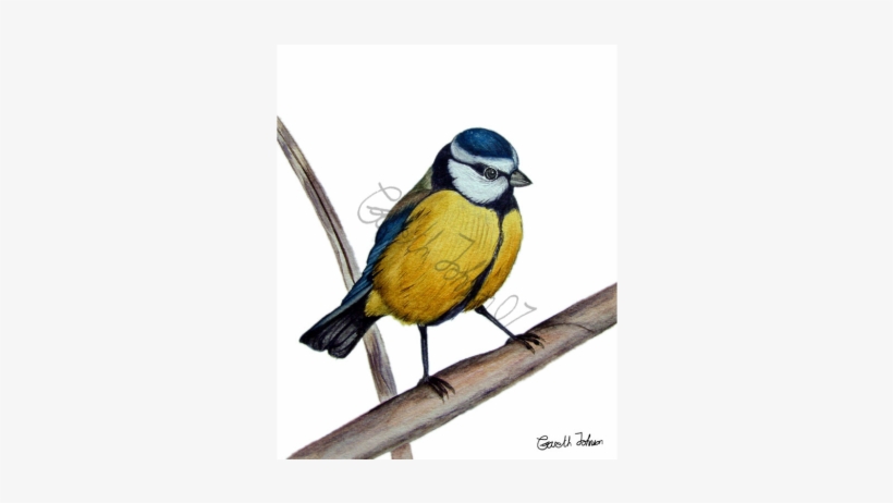 Watercolor Painting, transparent png #863339