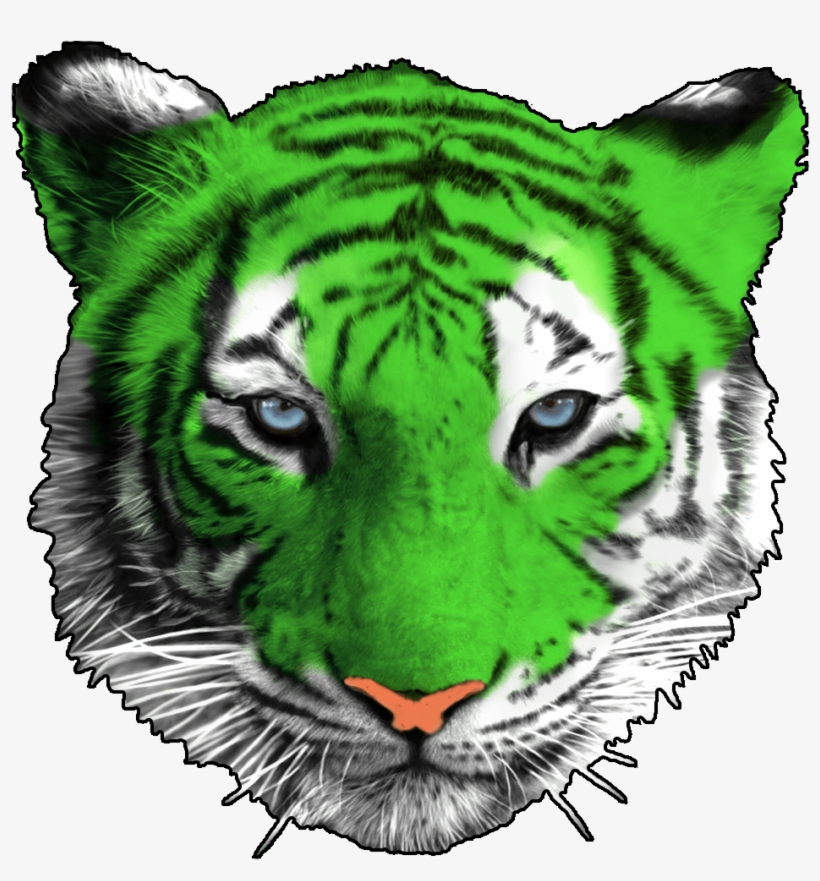 Green Tiger Png - Sunsout - White Tiger Face Puzzle 1000pce, transparent png #863495