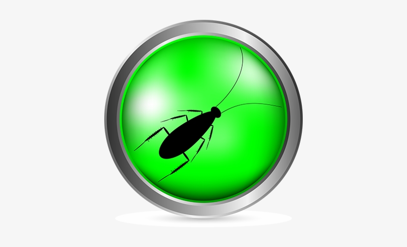 Here's A Story To Top Any “guest Sees A Cockroach In - Cockroach, transparent png #863566