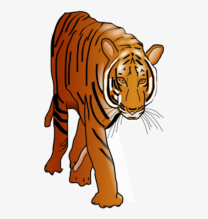 Prowling Tiger Svg Clip Arts 360 X 592 Px, transparent png #863590