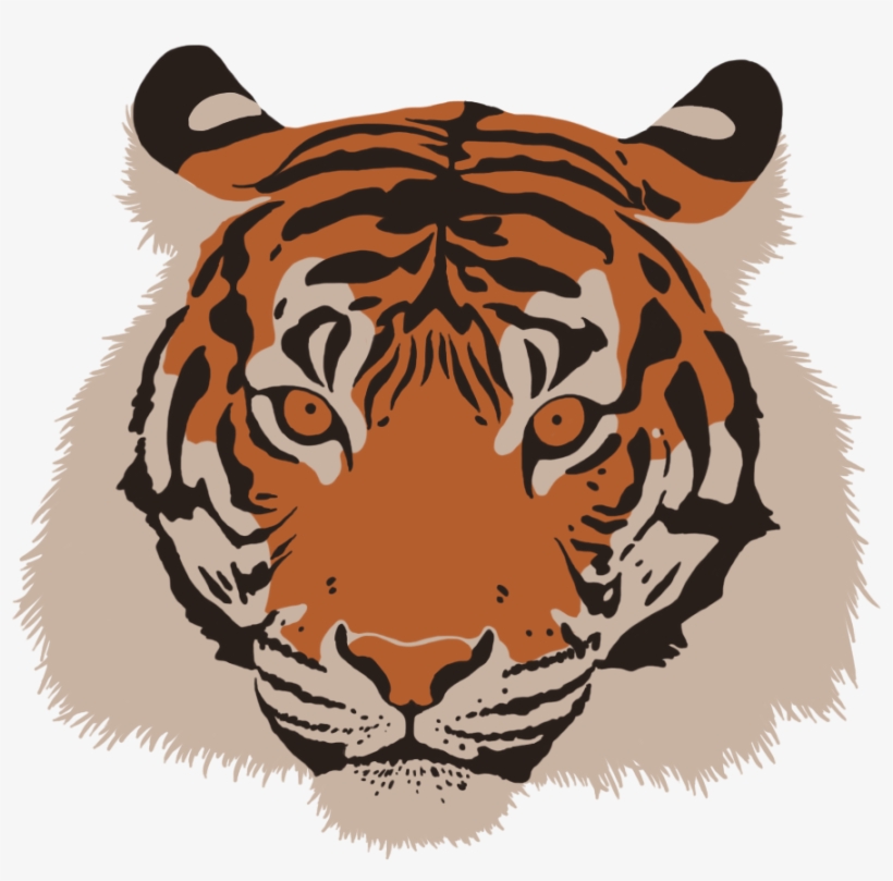 Tiger Head - Point Defiance Zoo & Aquarium, transparent png #863772