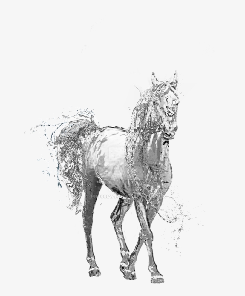 Water Horse Png Transparent Water Horse - Water Transparent Background Drawing, transparent png #863873