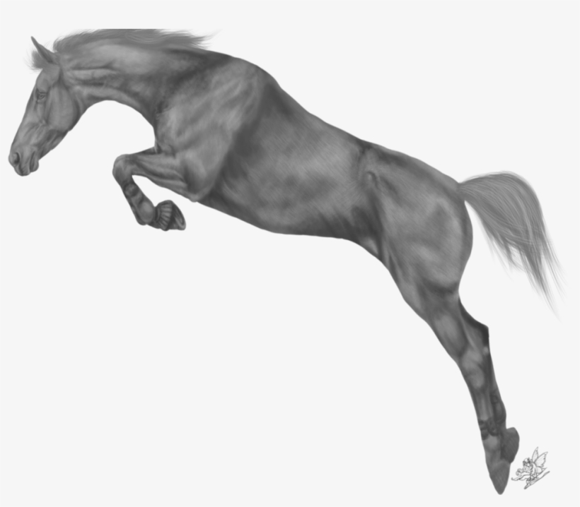 Horse Greyscale By Emmy On Deviantart - Black Horse Jump Png, transparent png #863989