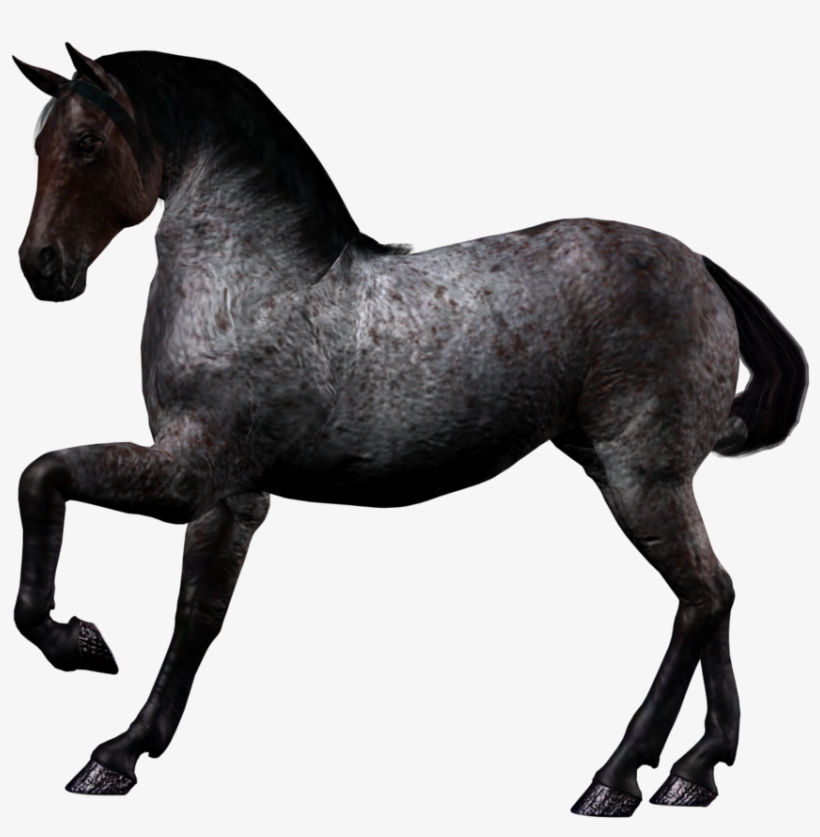Horse Png Image - 3d Black Horse Png, transparent png #864169