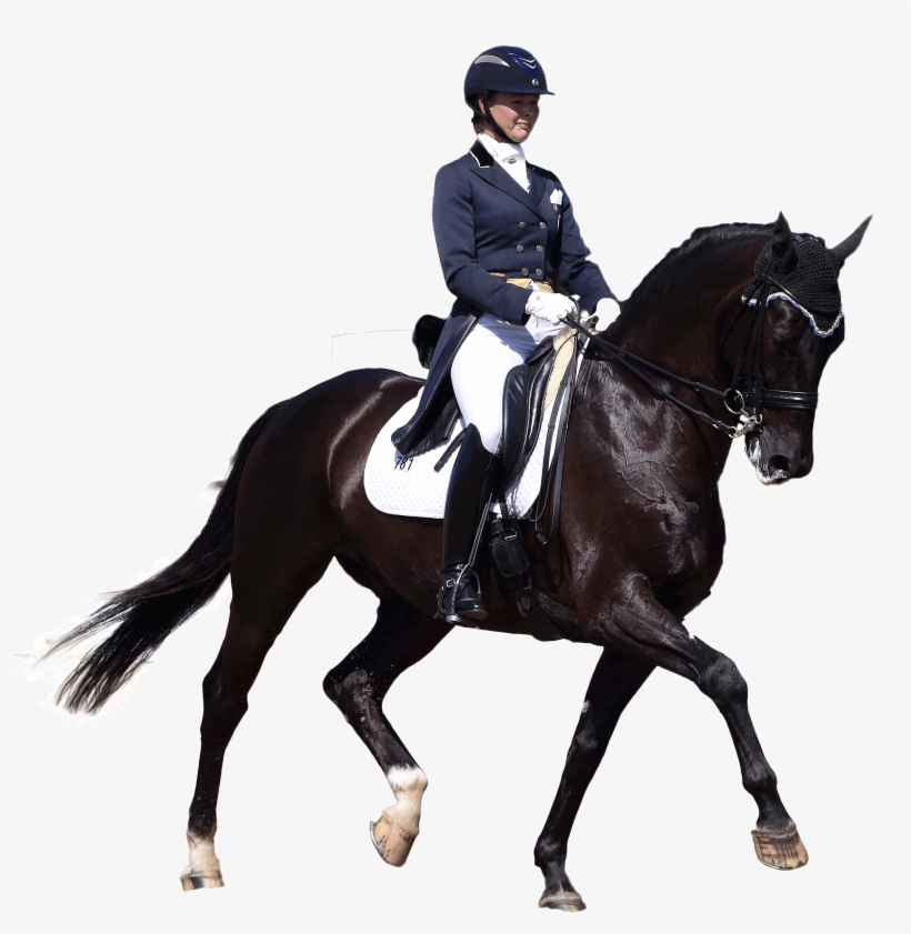 Transparent Horses Dressage - Dressage Png, transparent png #864206