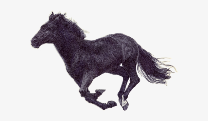 Horse Running Png Image Royalty Free Stock - Horse Running Png Gif, transparent png #864254