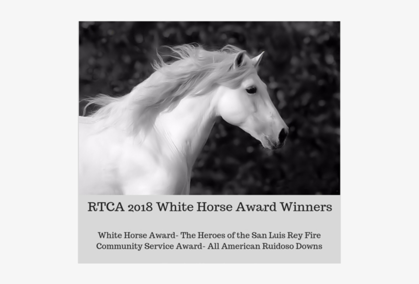 White Horse, transparent png #864283