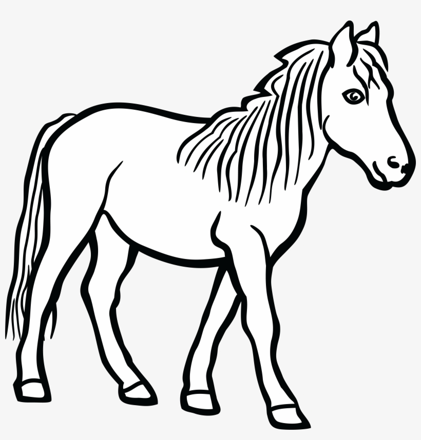 Free Clipart Of A Horse - Clip Art Of Horse, transparent png #864452
