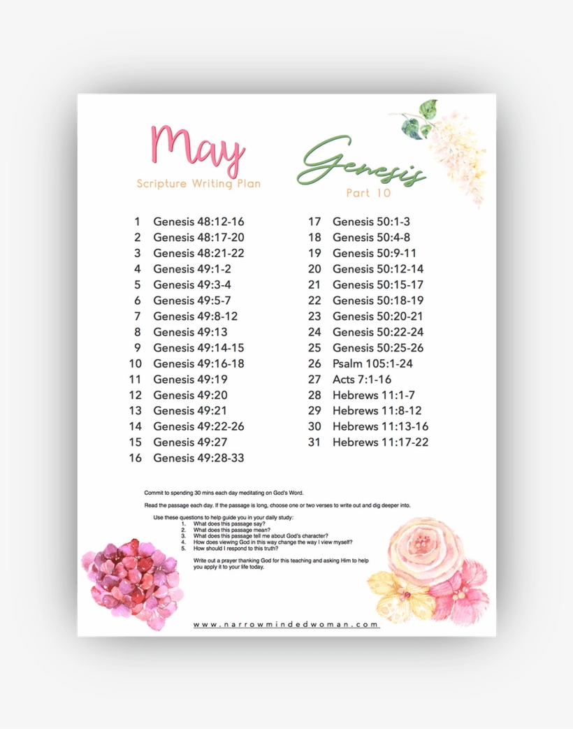 Bible - Japanese Camellia, transparent png #864548
