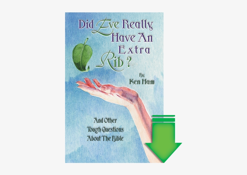 Previous - Next - Did Eve Really Have An Extra Rib?, transparent png #864608